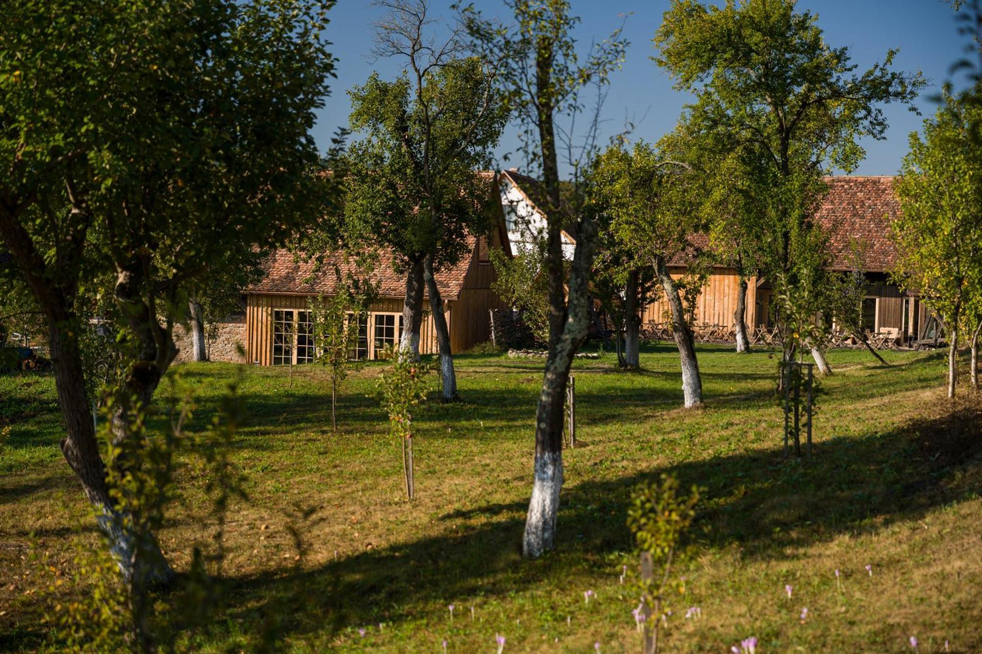 Mesendorf Gasthaus Esterno foto